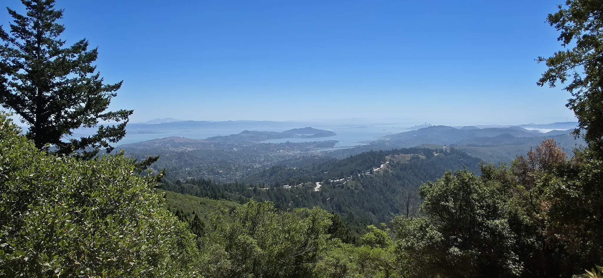 View
